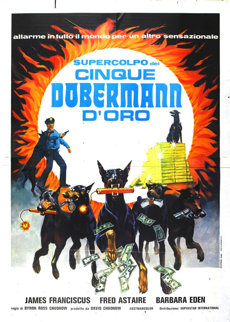 Amazing Dobermans