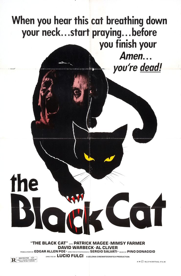 Black Cat 1981