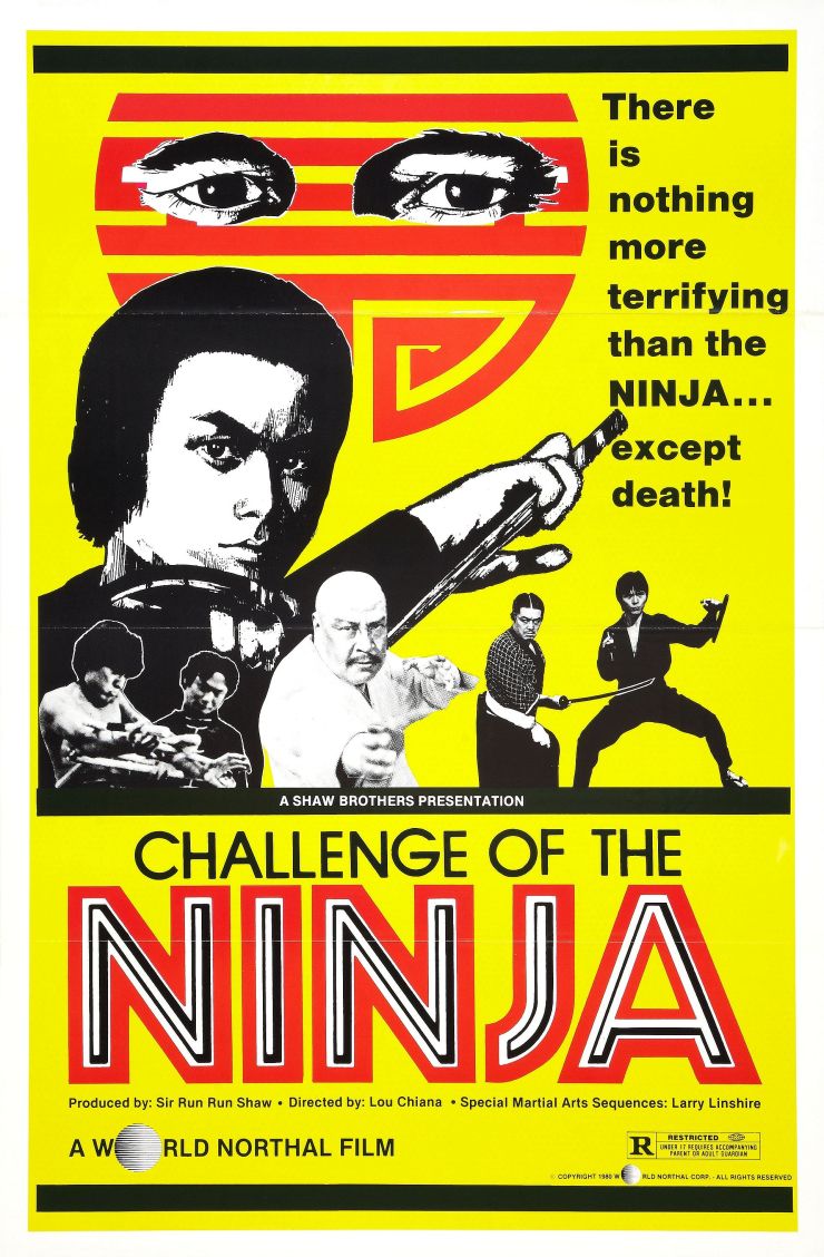 Challenge Of Ninja