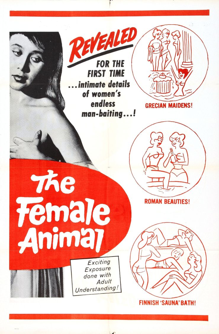 Female Animal 1954