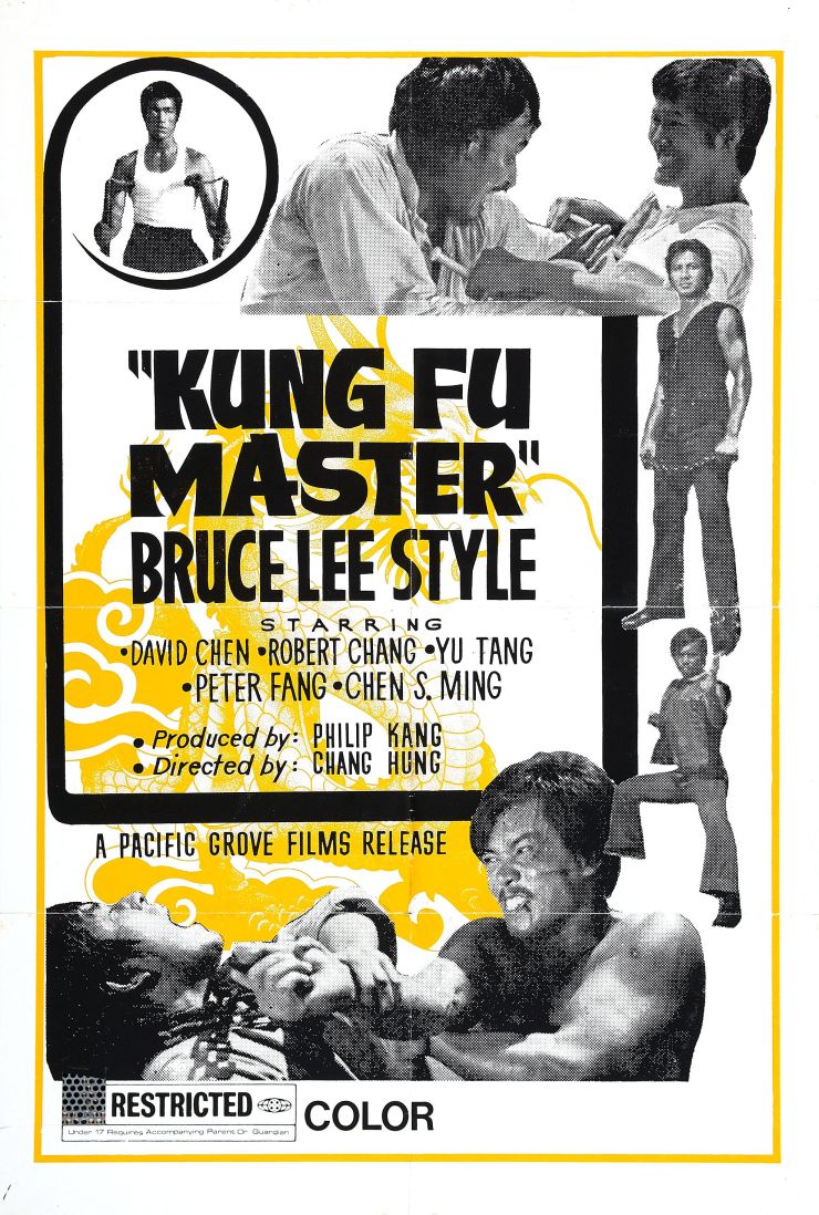 Kung Fu Master Bruce Lee Style