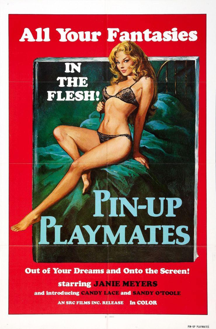Pin Up Playmates